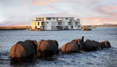 AmaWaterways, Zambezi Queen, Exterior, Elephants.jpg